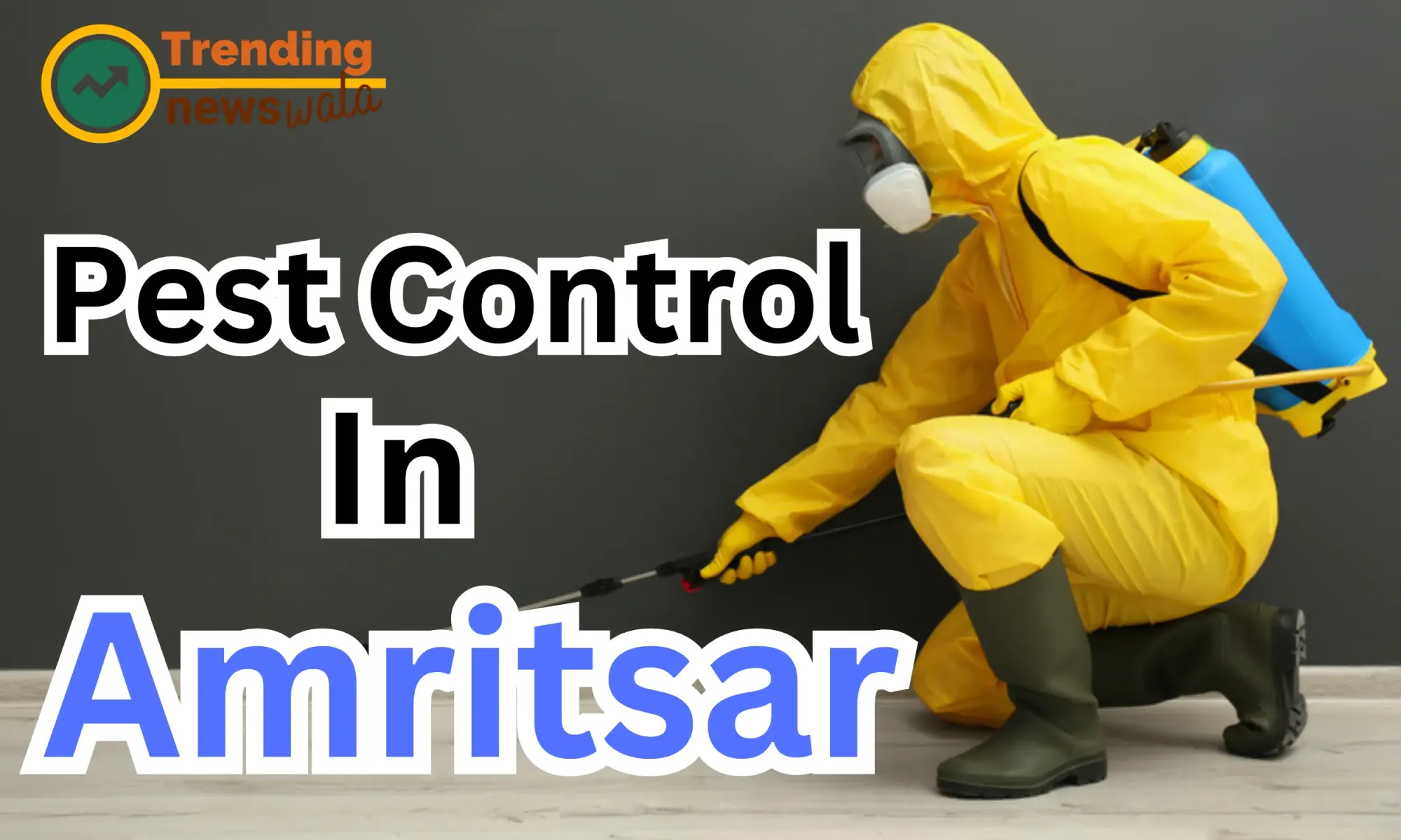 Pest Control Service in Amritsar