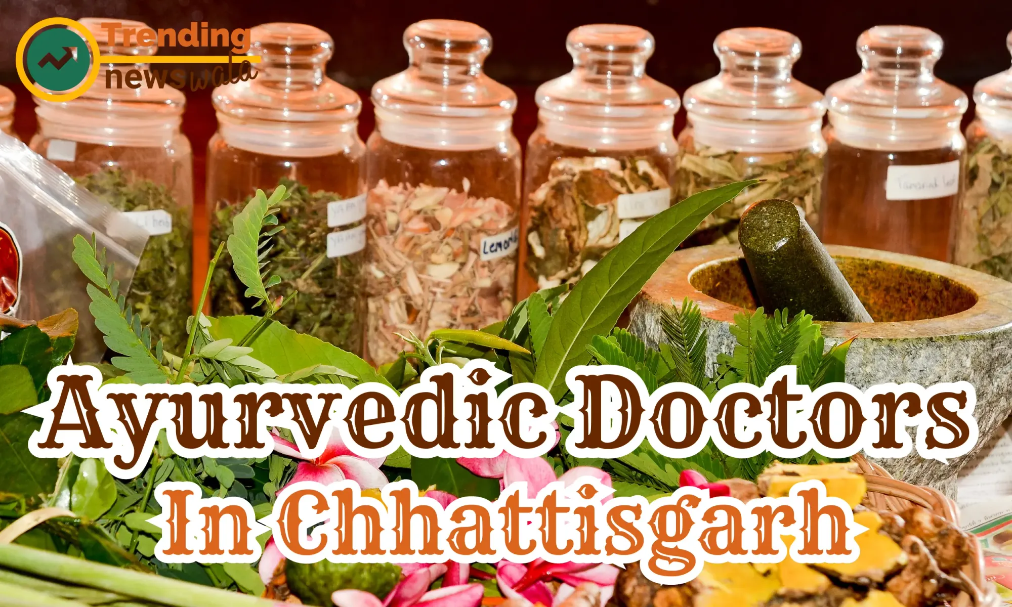 Ayurvedic Doctors In Chhattisgarh