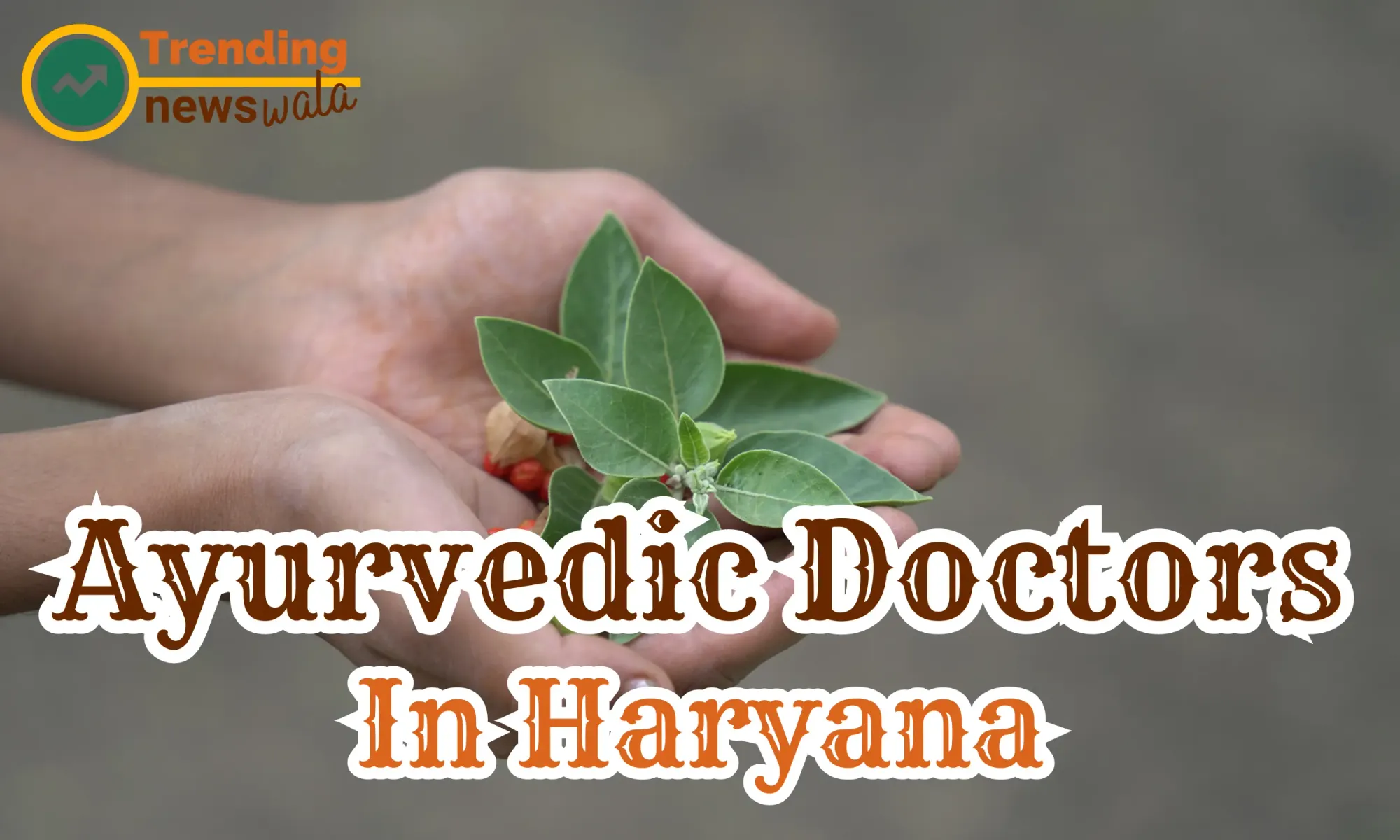Ayurvedic Doctors In Haryana