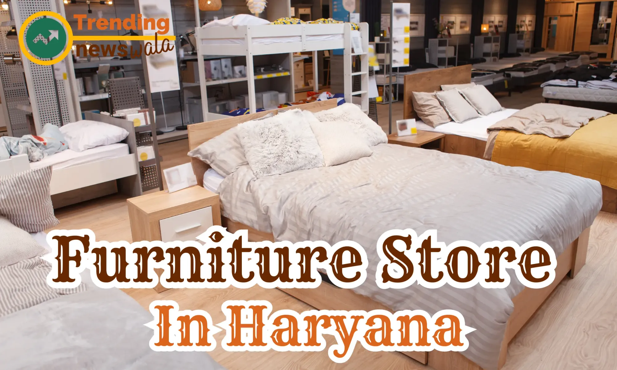 Furniture Store In Haryana