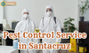 Pest Control Service in Santacruz