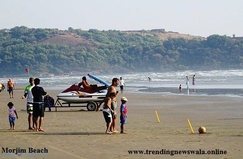 Morjim Beach In Goa