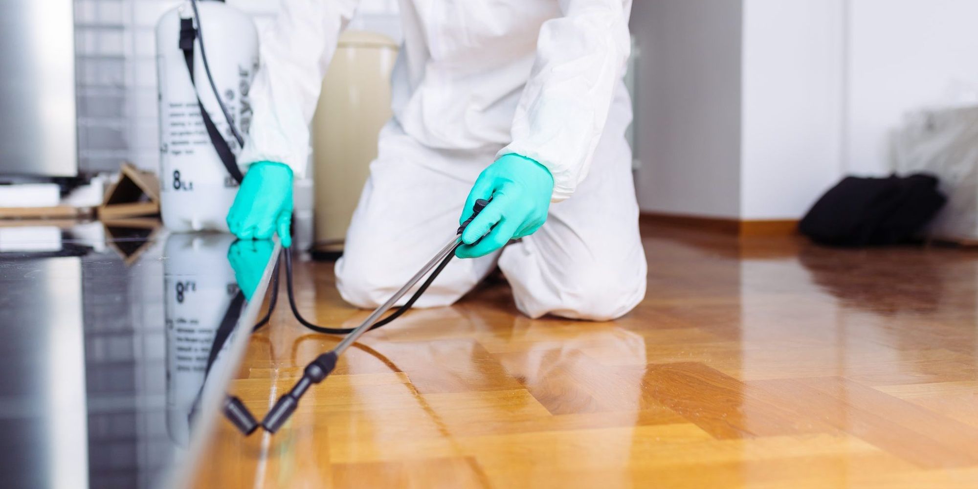 Top Pest Control Service In  Ghansoli