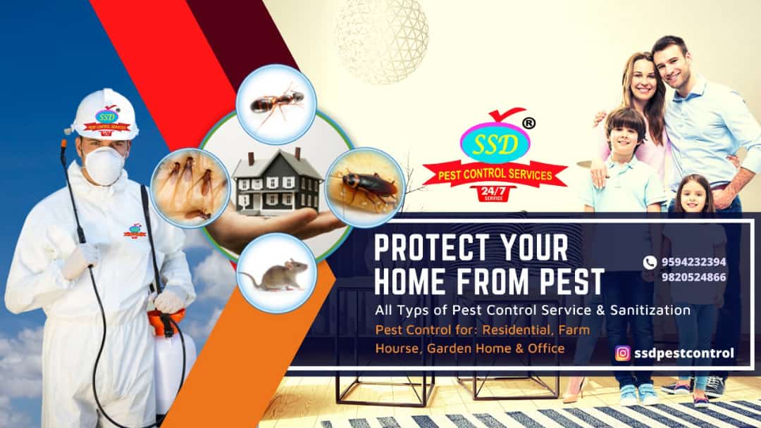 Top Pest Control Service in Amravati