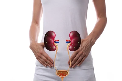 Urinary Tract Infection (UTI) in Females