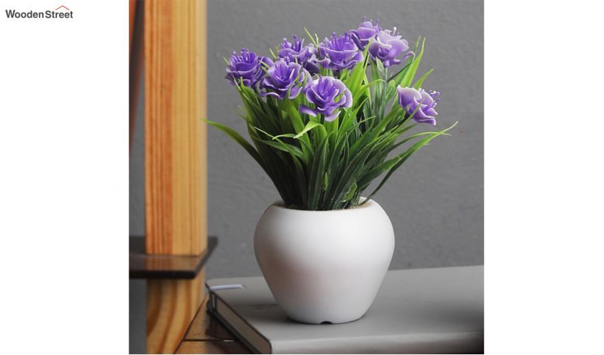 Get The Perfect Planters to Give Your Home a Stunning New Appeal