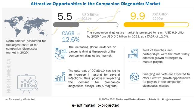 Companion Diagnostics Market : Analysis of Potential Opportunity Worth USD 9.9 billion by 2026
