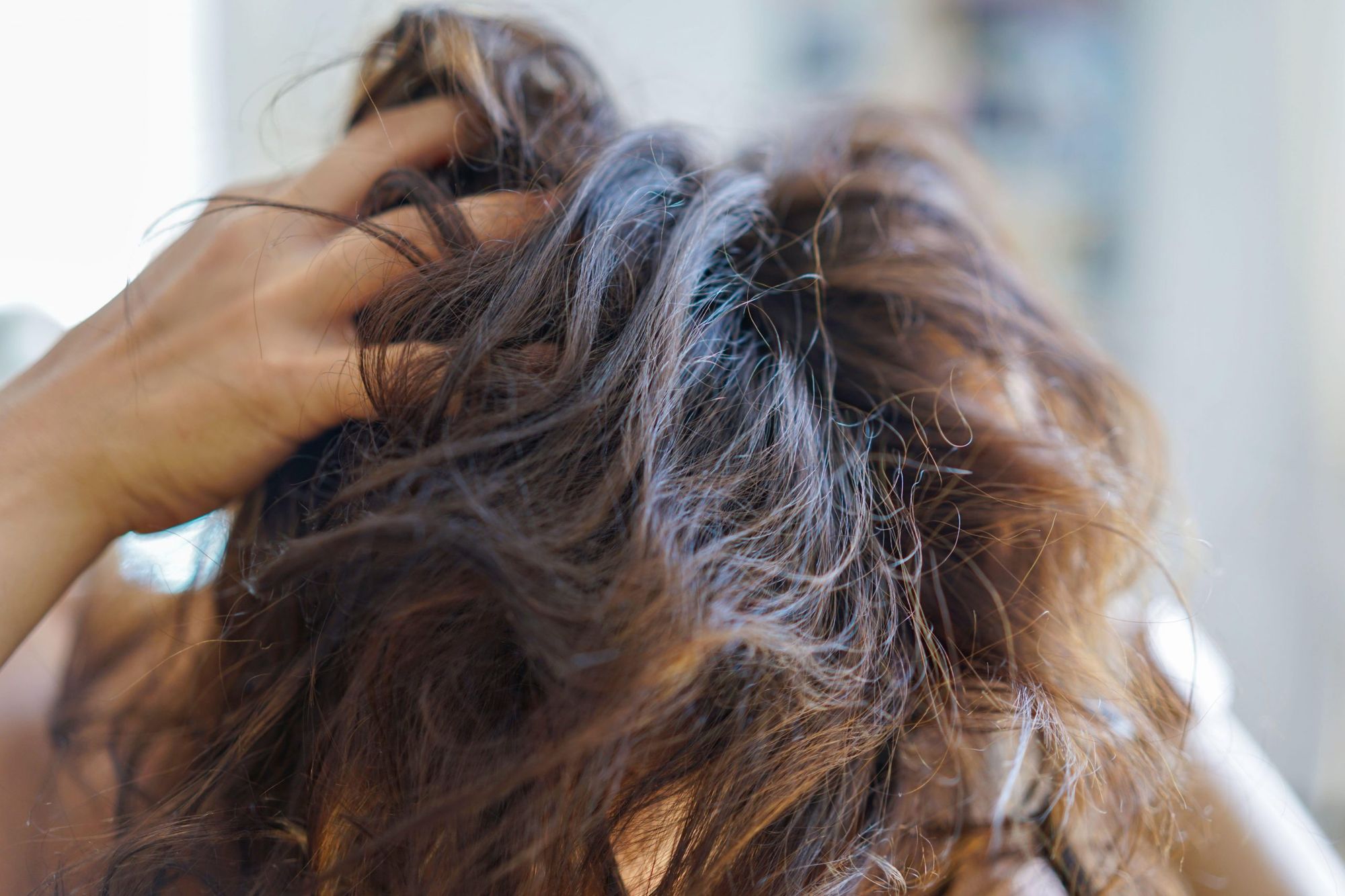 Top 5 home remedies for dry hair