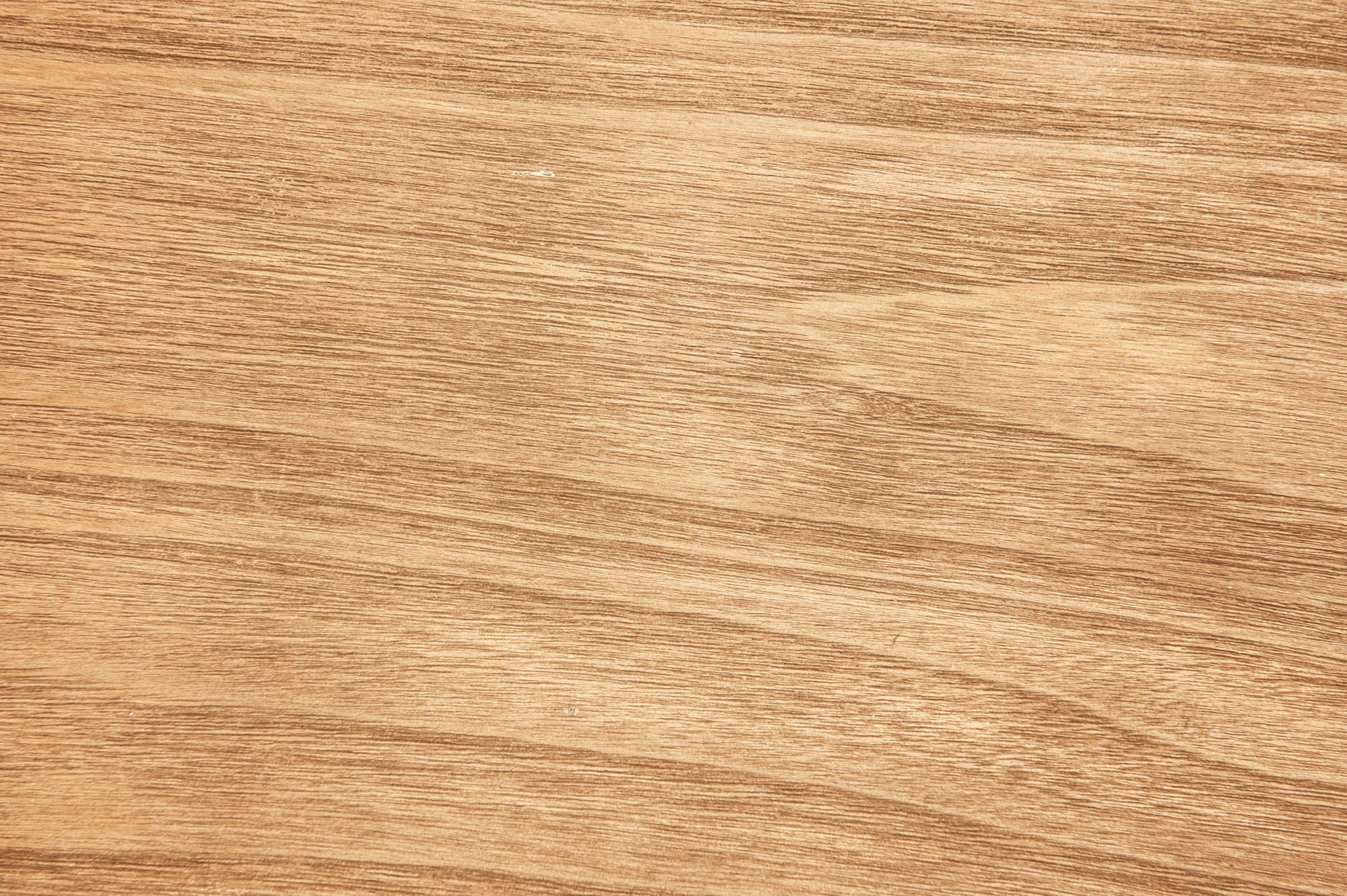 Why You Need Boiling Water-Proof(BWP) Plywood for Your Next Project!