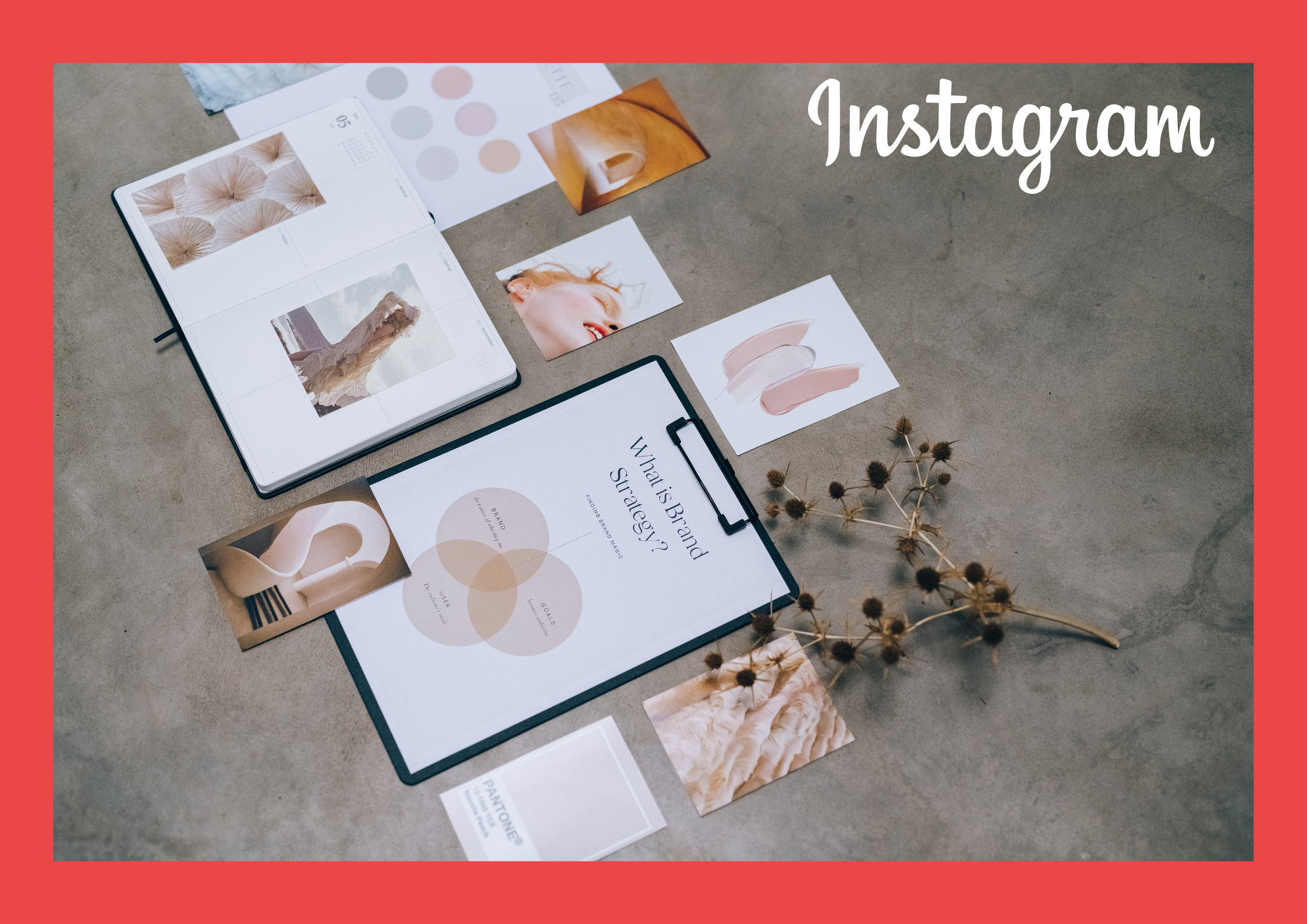How to build up your Brand on Instagram