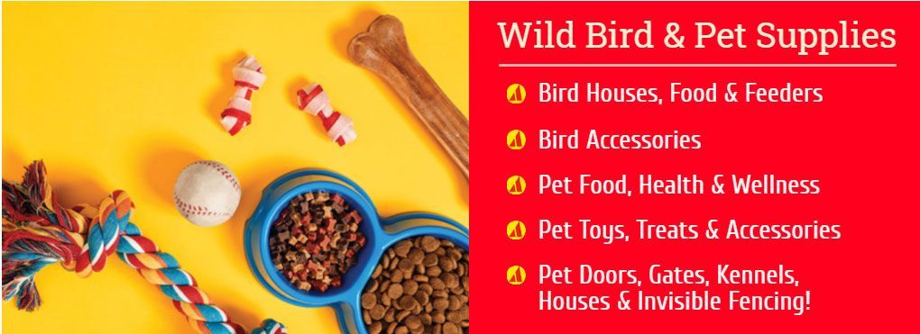 Top Bird Accessories & Supplies To Care For Your Beautiful Birdies