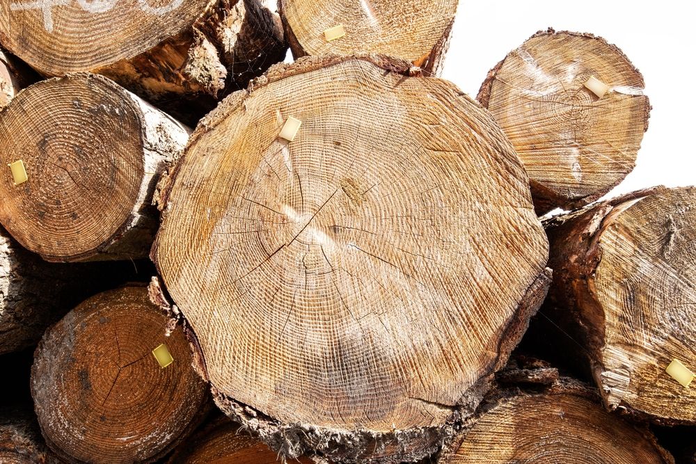 Why is it highly recommended to buy FSC-certified wood products