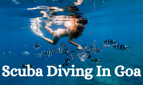 Scuba Diving In Goa | Price | Review | Offer | location
