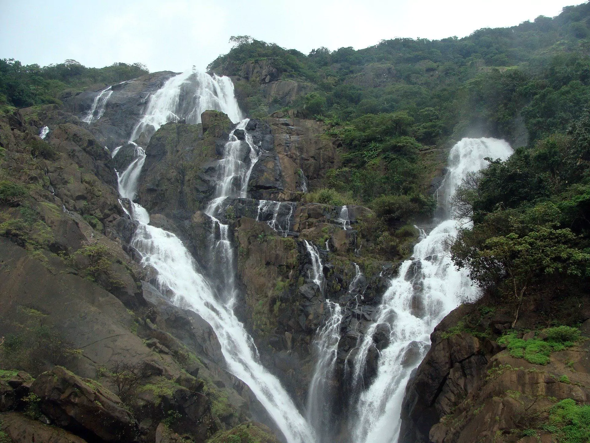 Everything About Dudhsagar Waterfalls in Goa