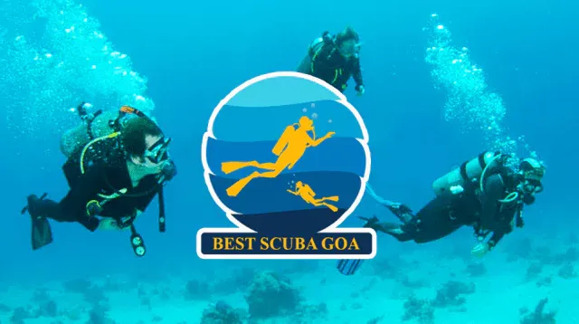 Top 10 Scuba Diving Spots In India- Survey 2022