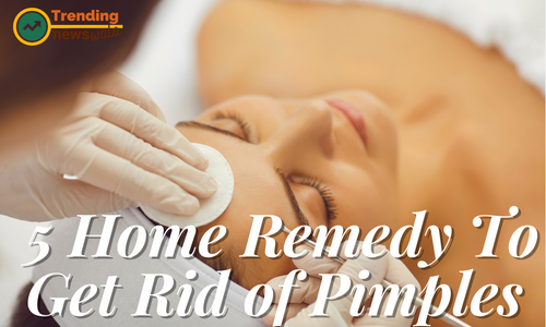 Top 5 home remedy to get rid of pimples in a week