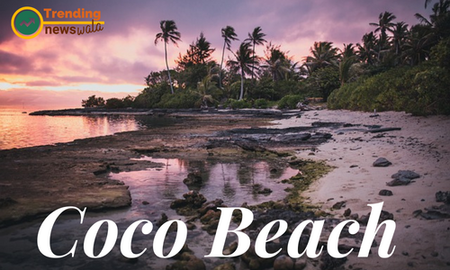 Coco Beach In Goa