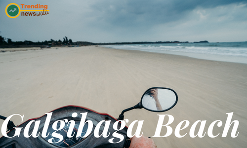 Galgibaga Beach In Goa