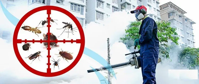 Top Pest Control Service Andheri MIDC