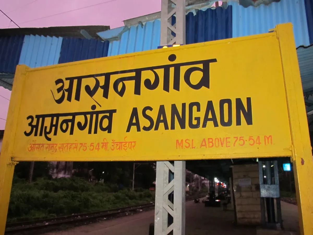 Top Pest Control Service Asangaon