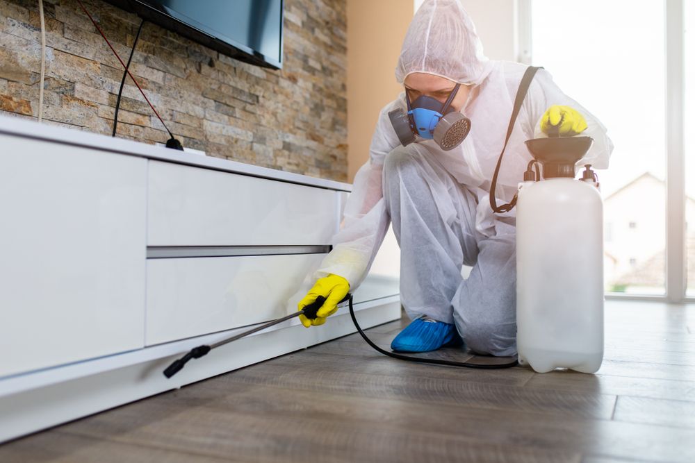 Top Pest Control Service Byculla