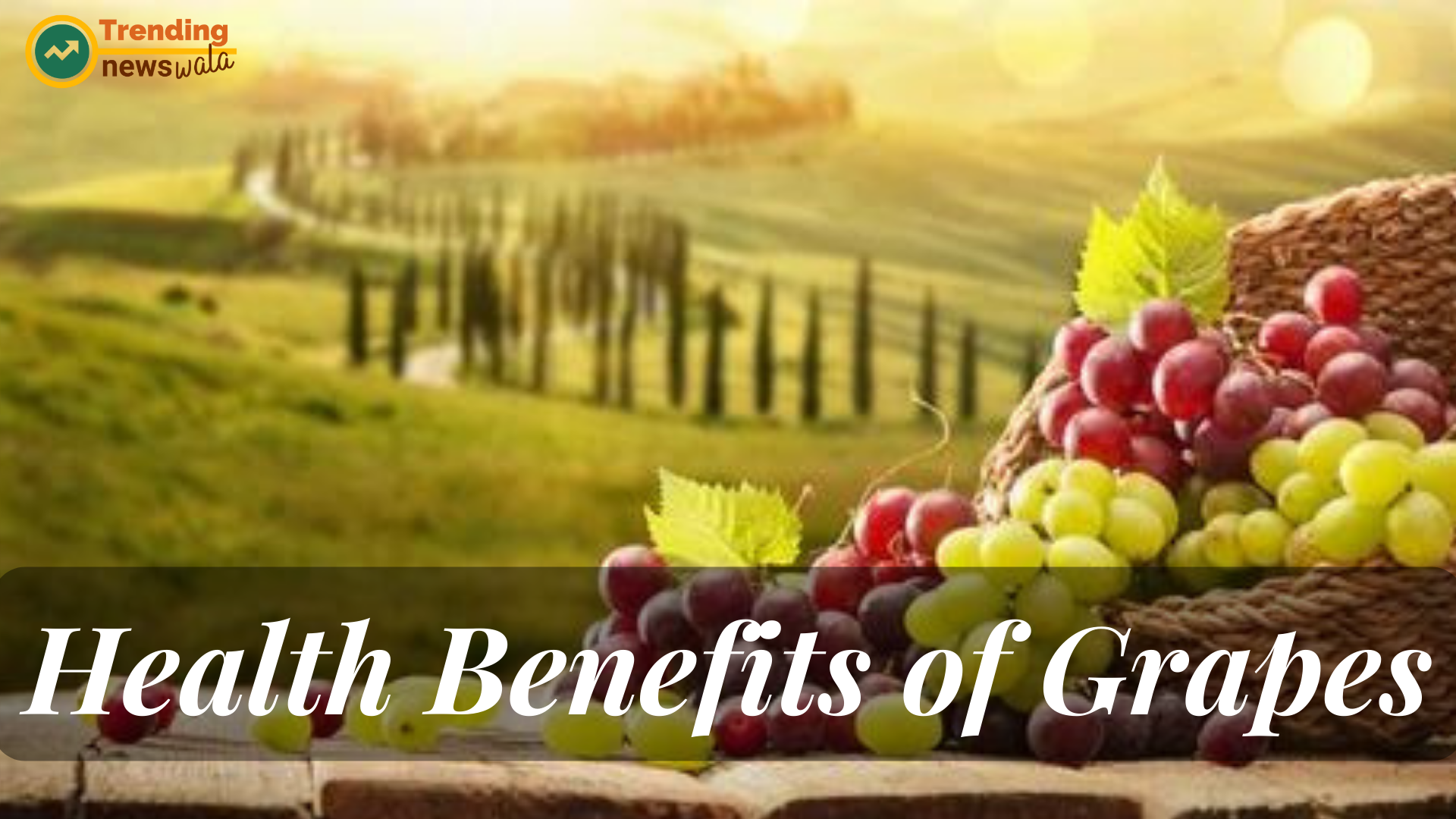 10 Benefits of Grapes