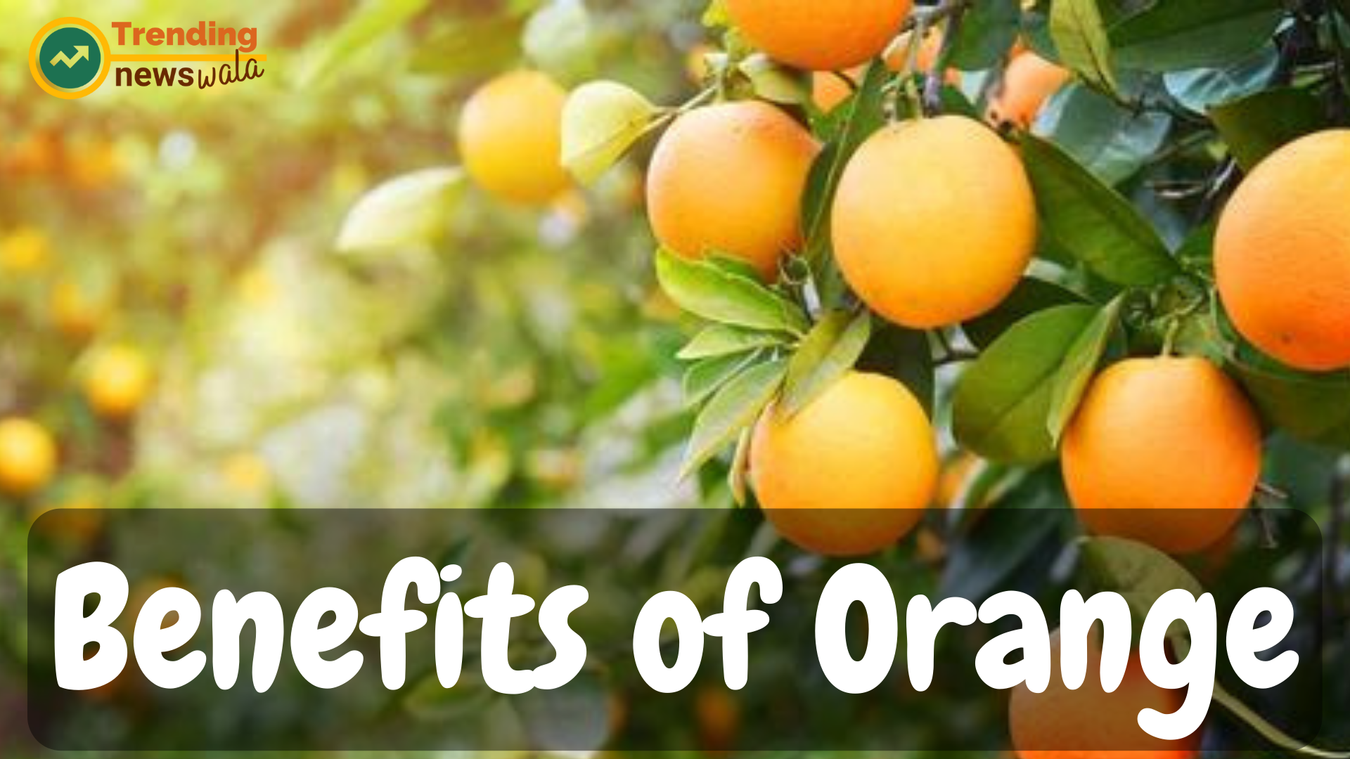 10 Benefits of Orange