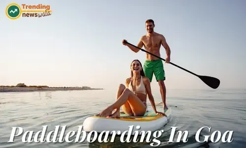 Paddleboarding In Goa