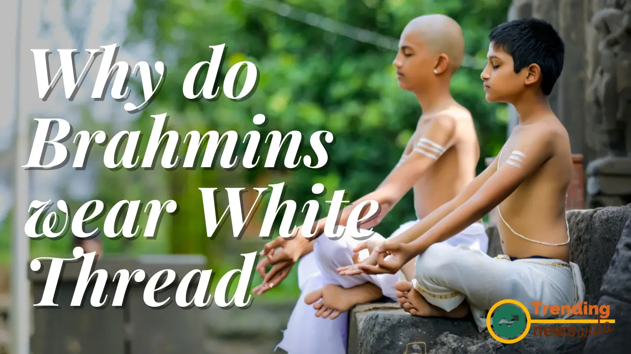 Why do Brahmins wear White Thread ( Janeu )