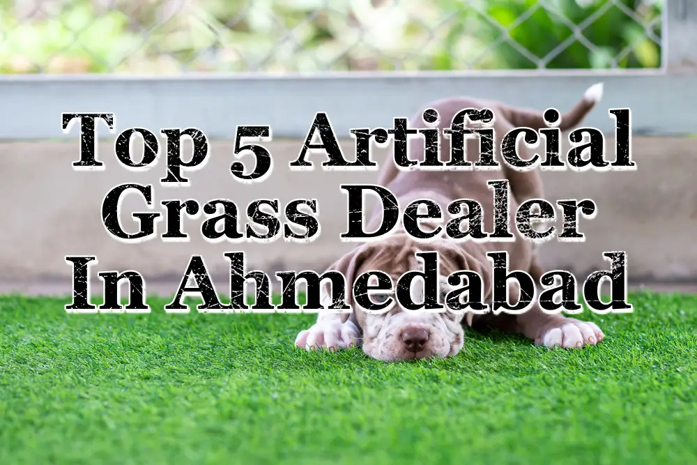Top 5 Artificial Grass Dealer In Ahmedabad