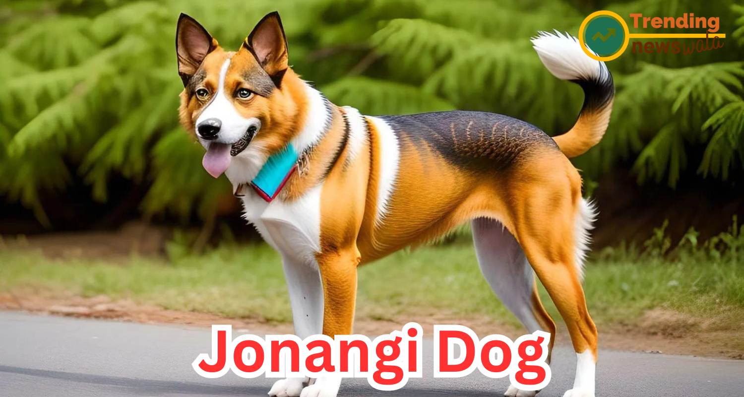 Jonangi Dog: India's Aquatic Marvel