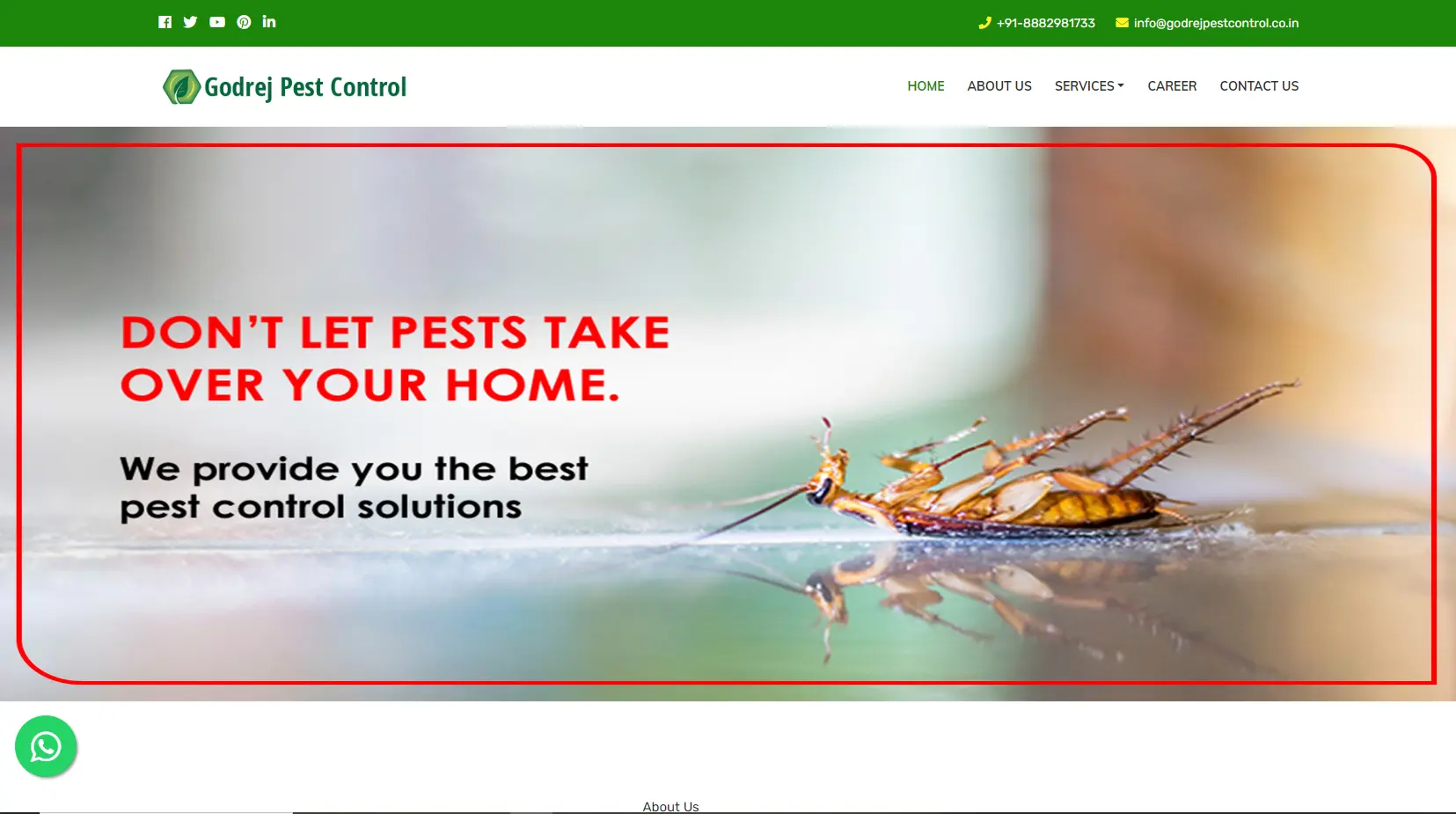 Pest Control Service in Virar