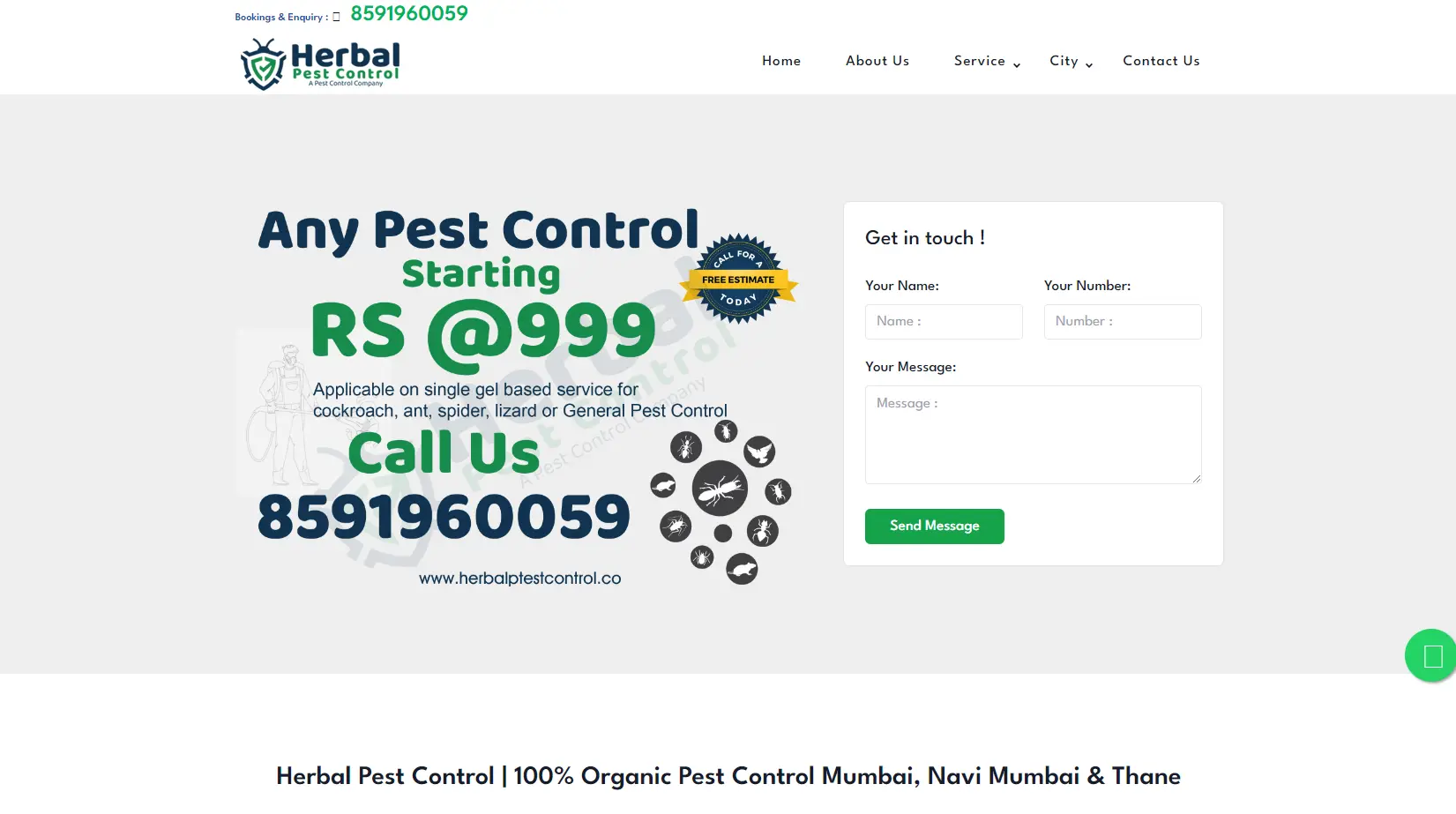 Pest Control Service in Turbhe