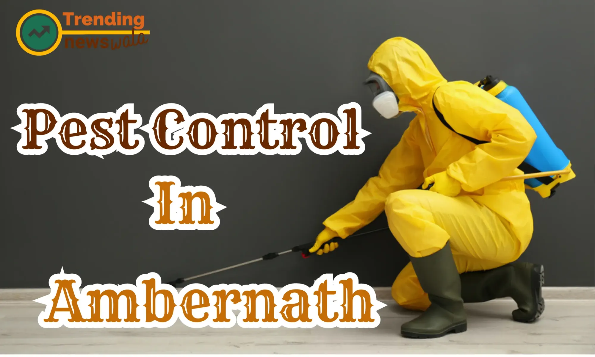 Pest Control In Ambernath