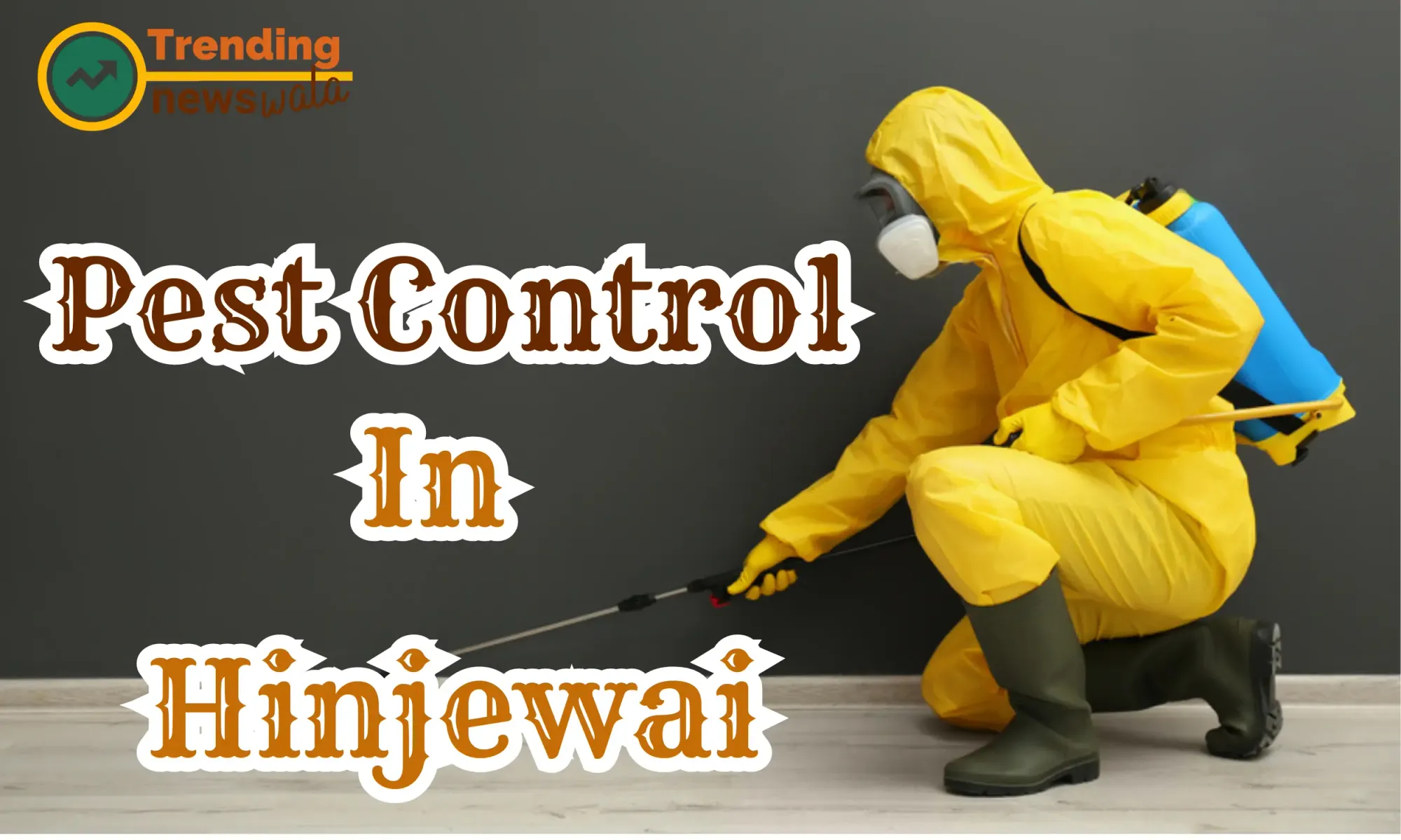 Pest Control Service In Hinjewadi