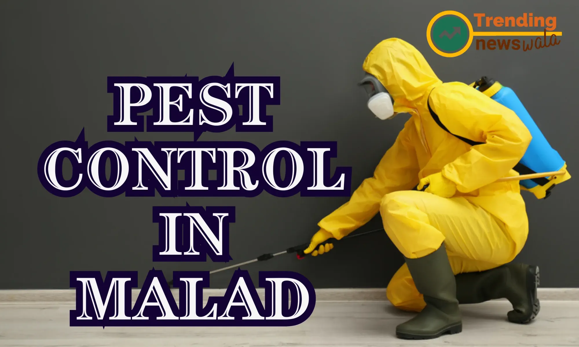 Top Pest Control Service Malad