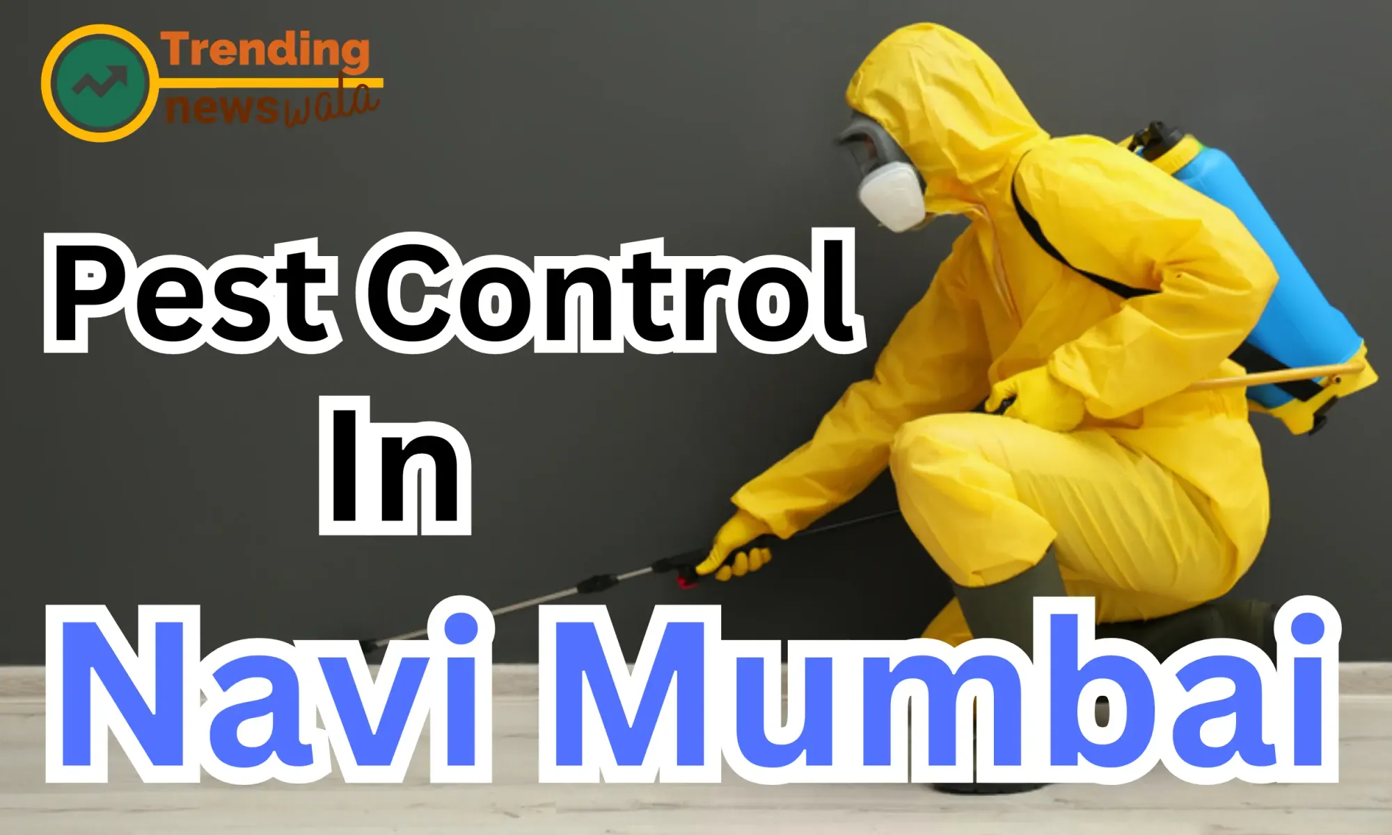 Top Pest Control Service in Navi Mumbai