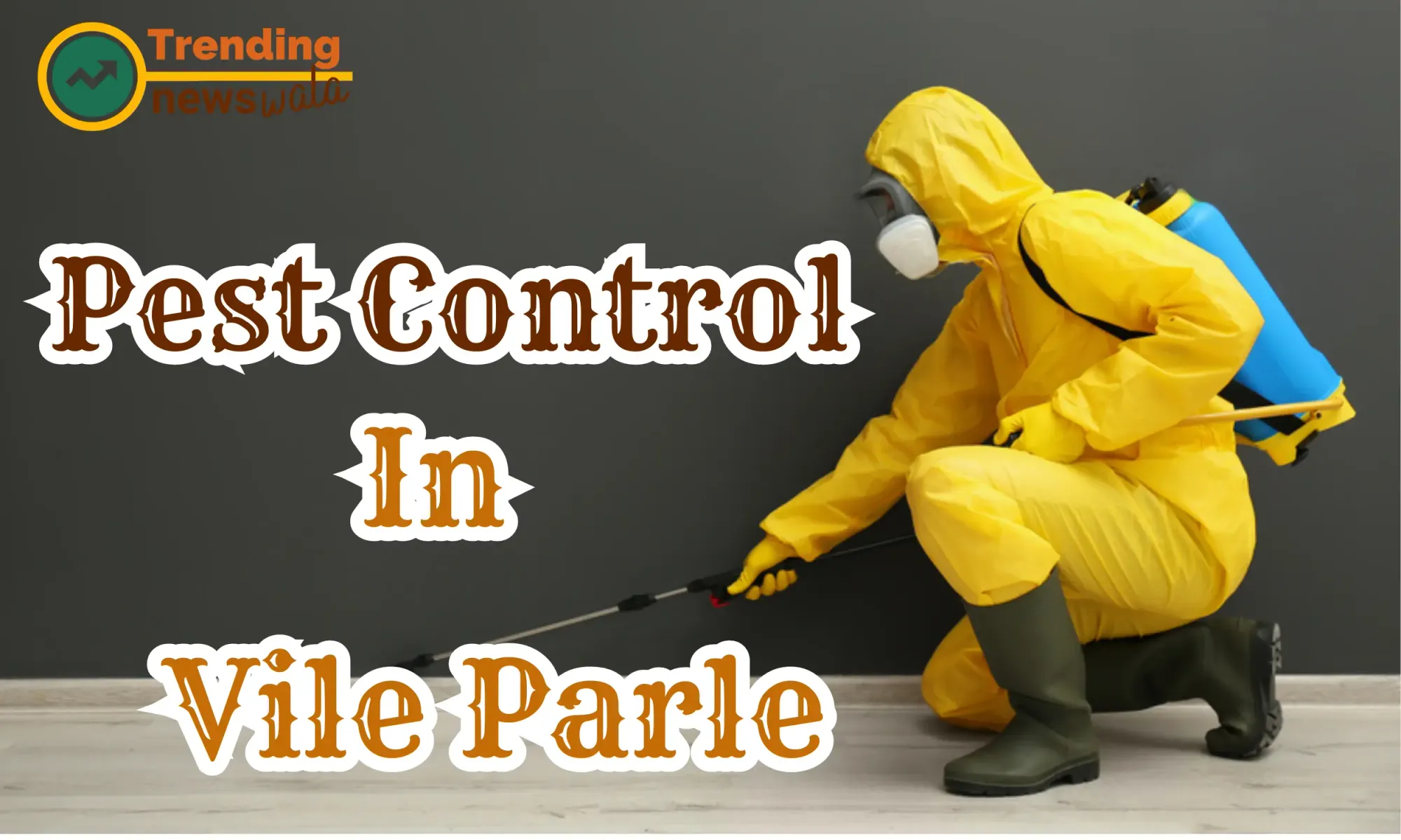 Pest Control In Vile Parle