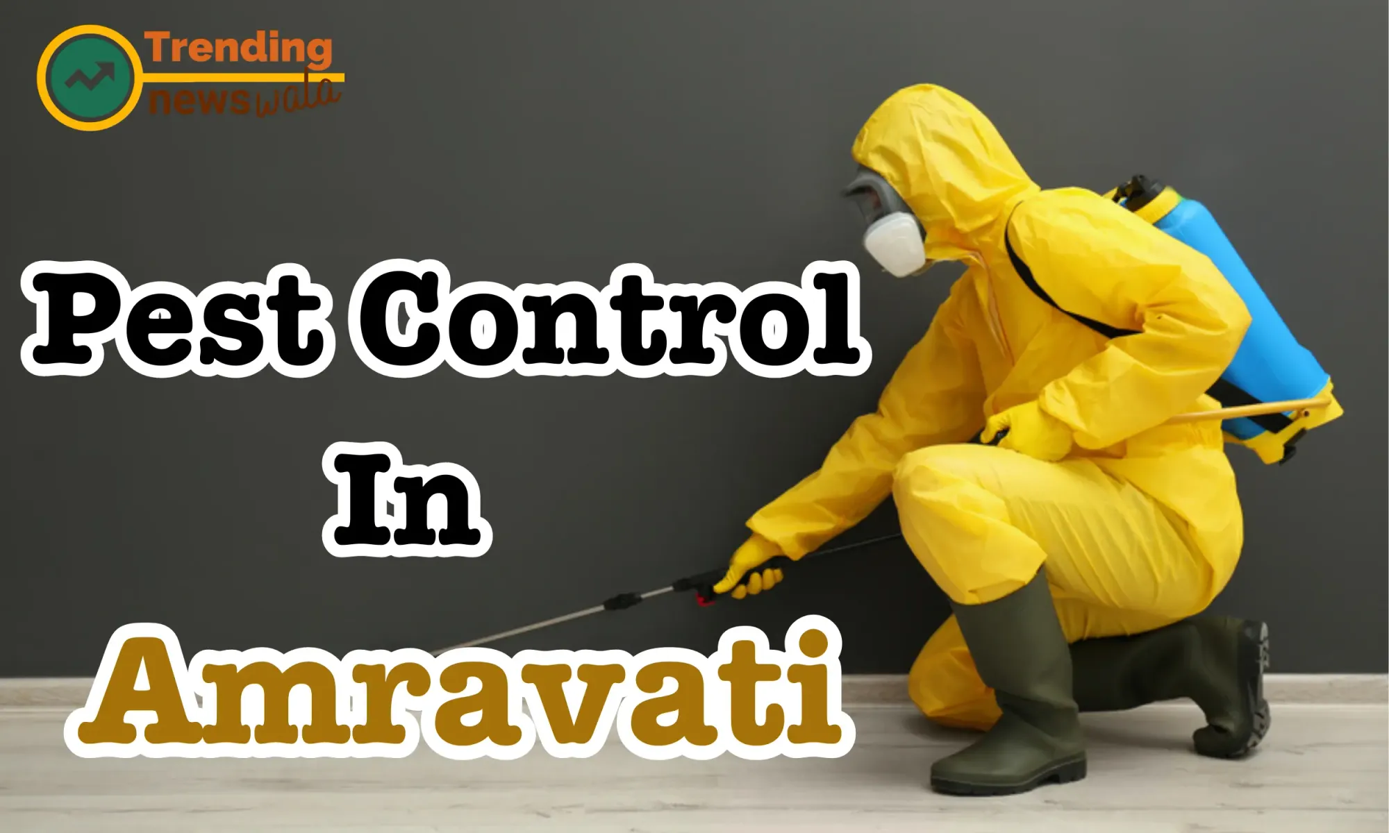 Pest Control Service in Amravati