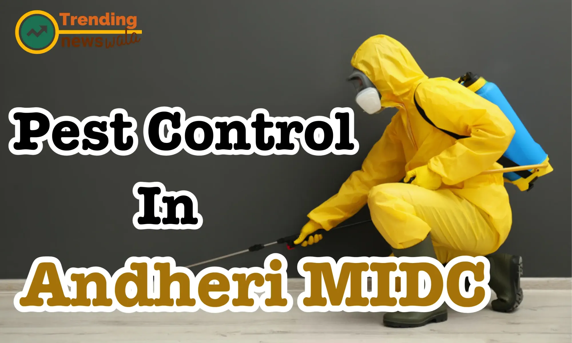 Pest Control Service Andheri MIDC