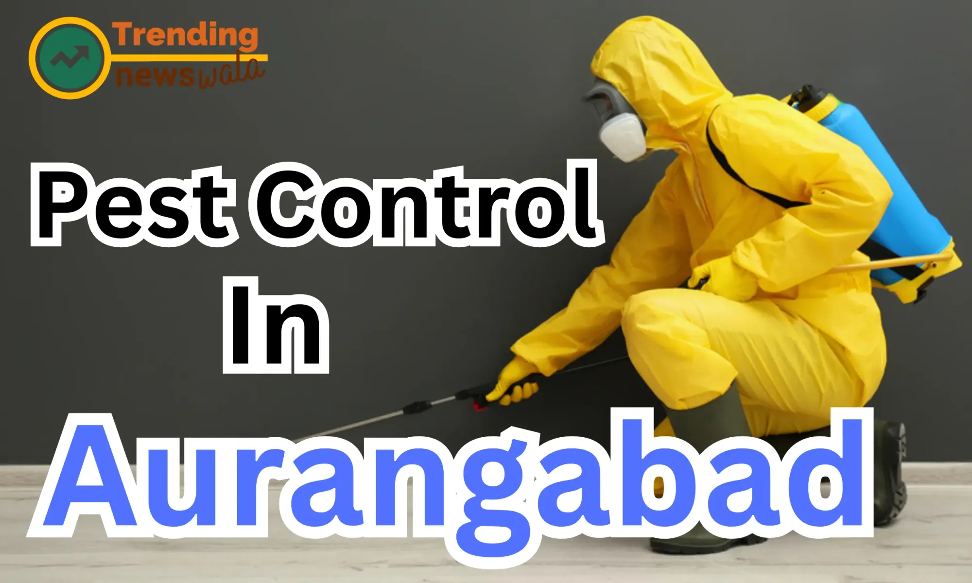 Pest Control Service in Aurangabad