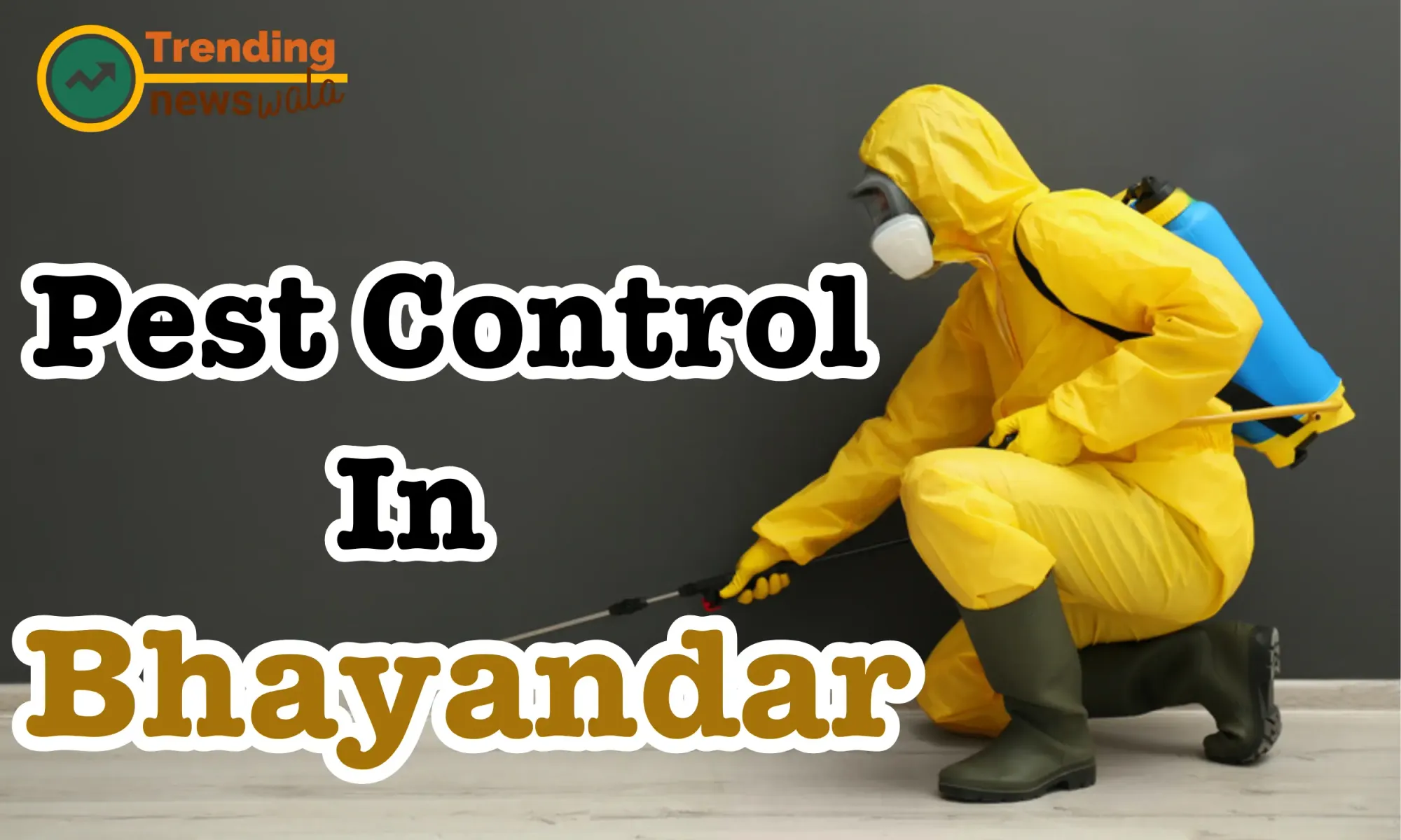 Pest Control Service Bhayandar