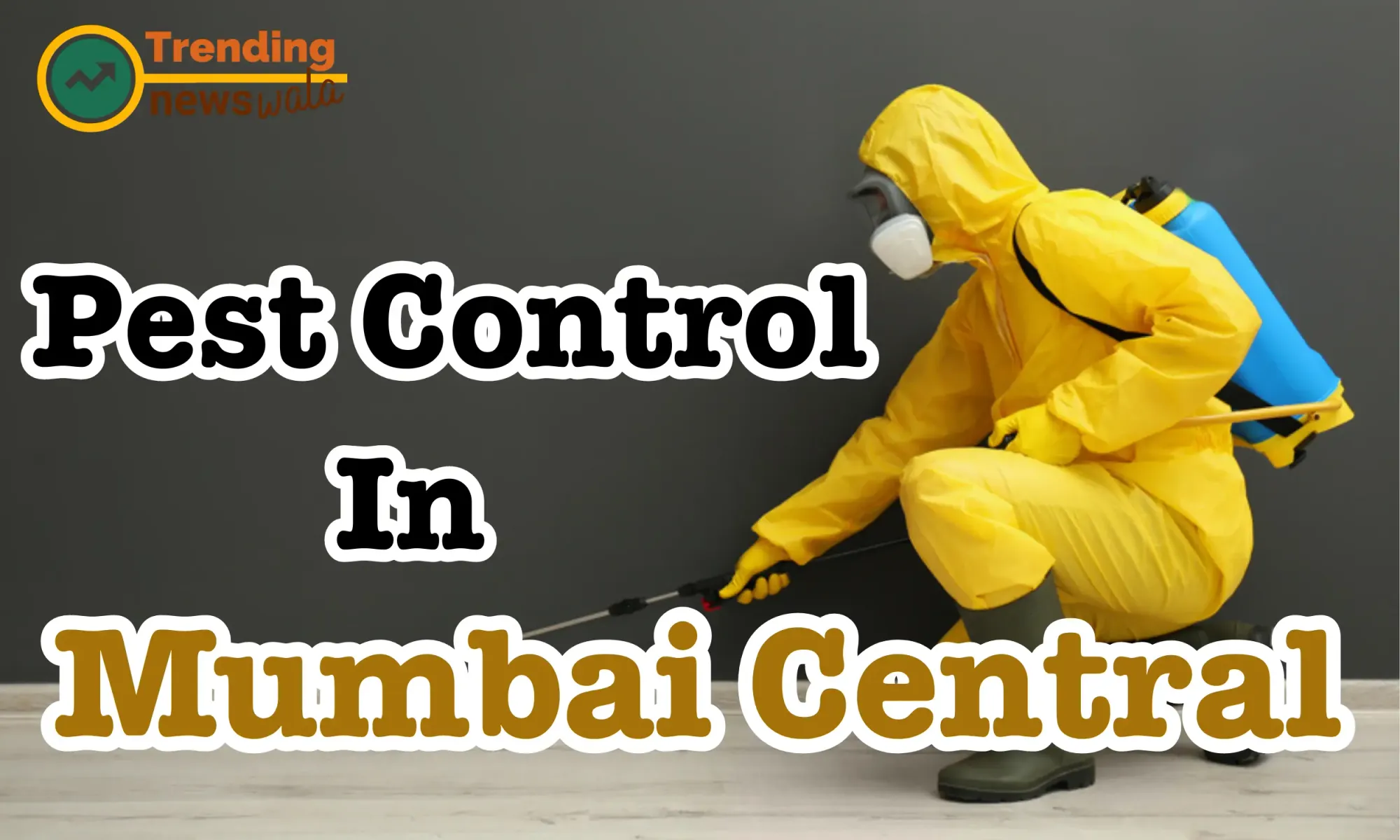Pest Control Service in Mumbai Central