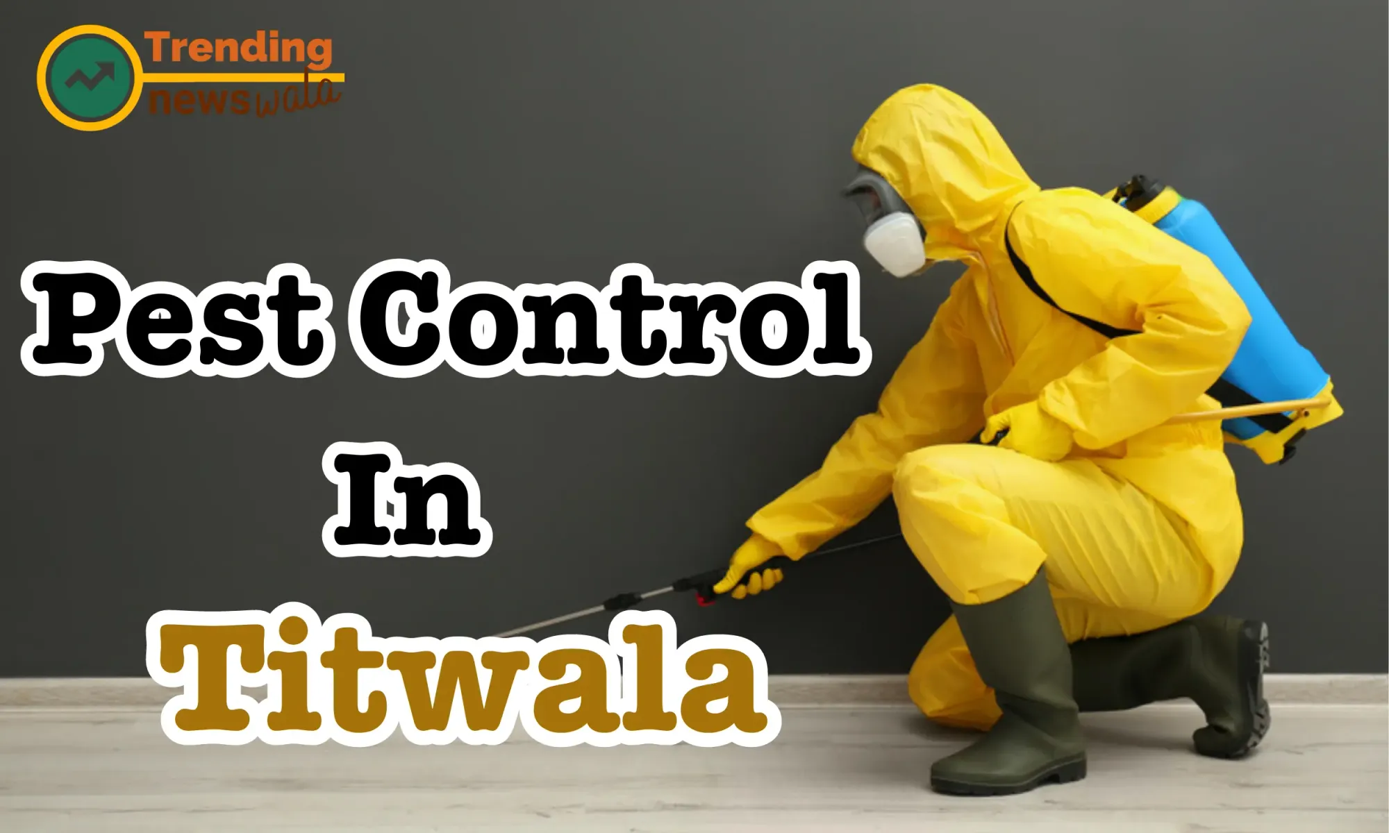 Pest Control Service in Titwala