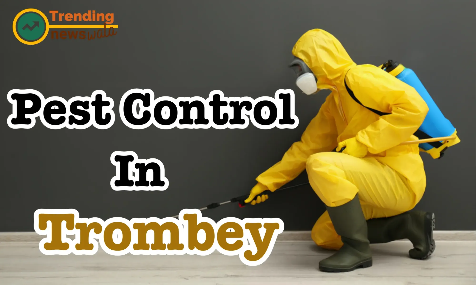 Pest Control Service in Trombey