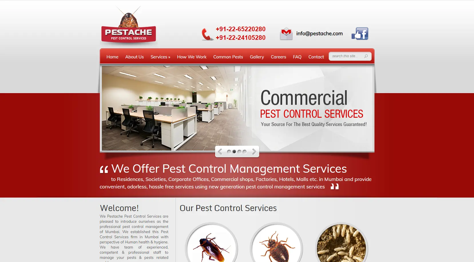 Pest Control Service in Sion