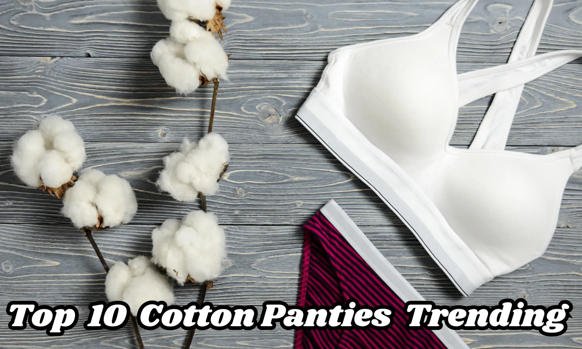 Cotton Panties in 2024