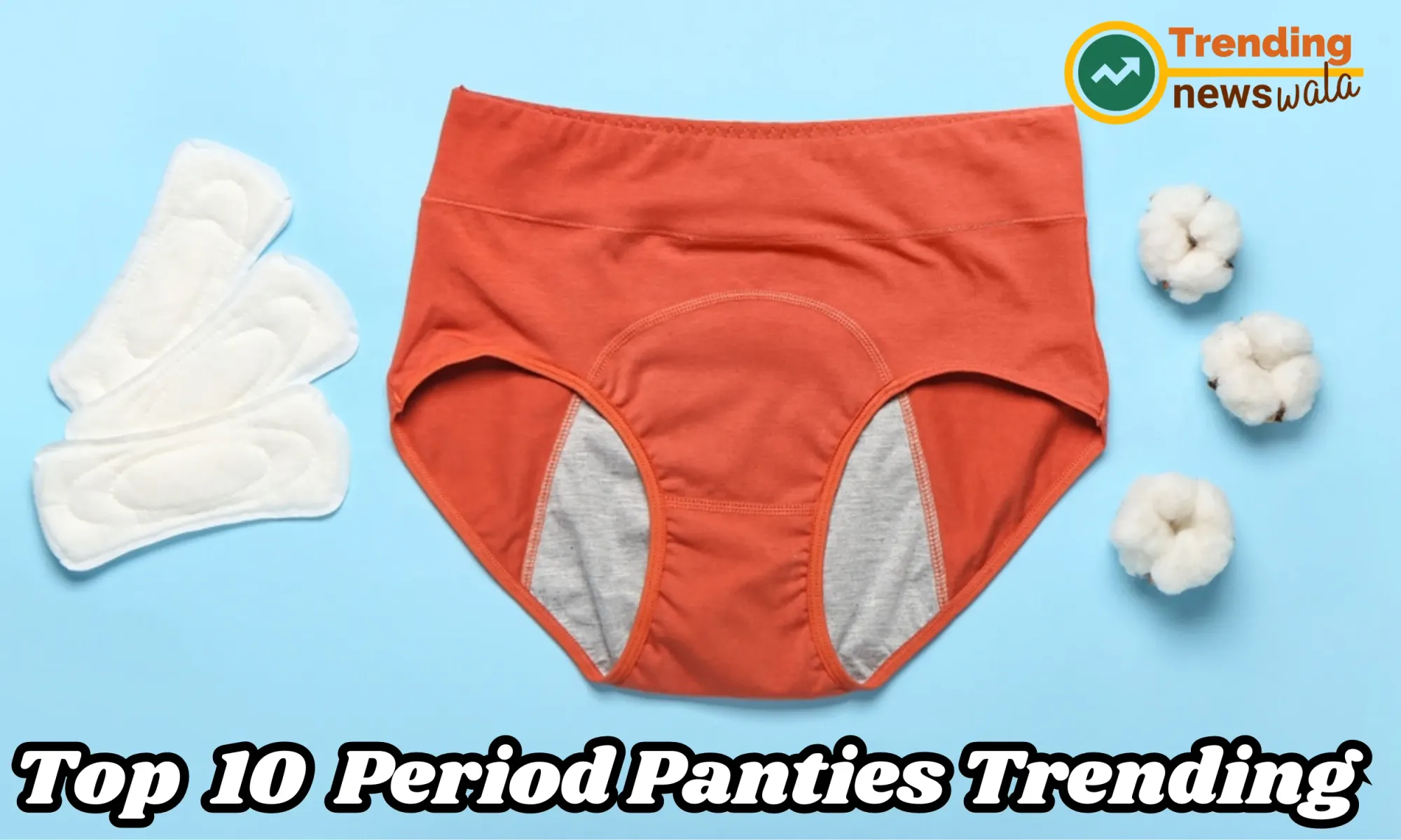 Period Panties in 2024