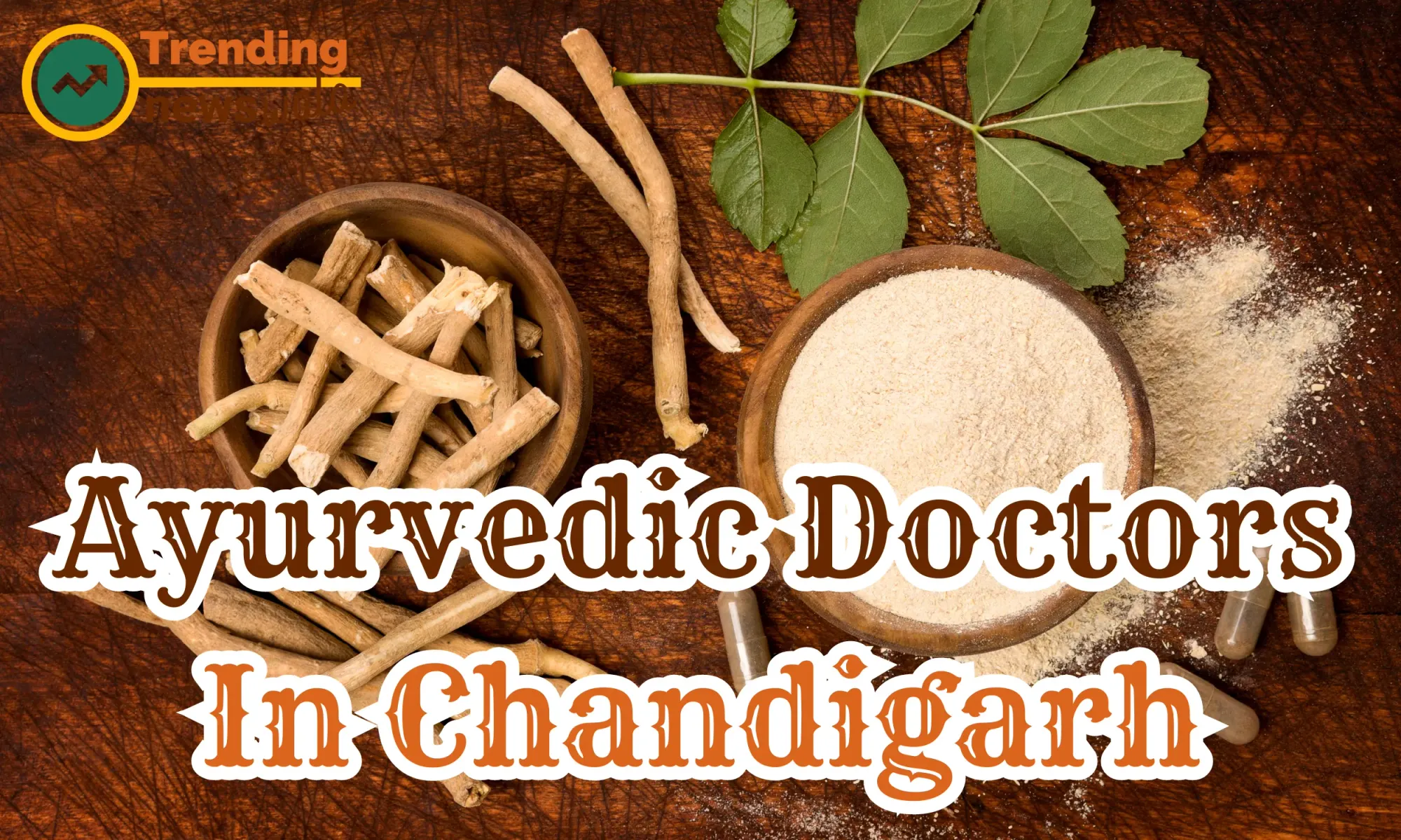 Ayurvedic Doctors In Chandigarh