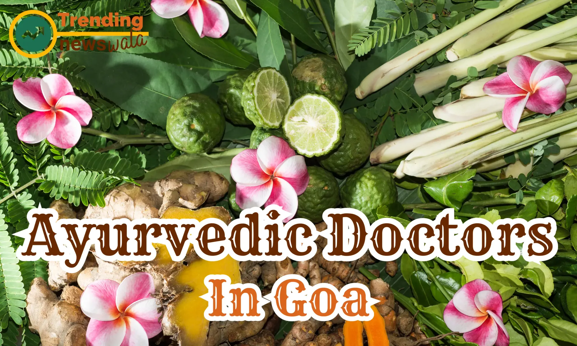Ayurvedic Doctors in Goa